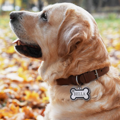 Personalized Stainless Steel Pet ID Tags with Glittery Bone Design - DEEP Engraved Dog Tags Engraved for Pets Customized with 5 Lines Dogs and Cats Pets