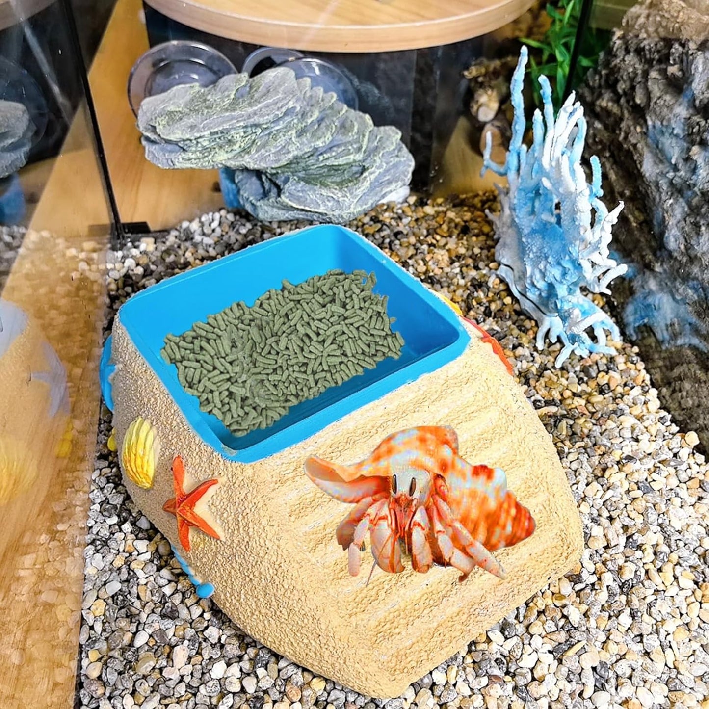 Hermit Crab Water Bowl with Climbing Ramp, Resin Reptile Water Dish Tortoise Habitat Accessories for Turtle, Snake, Lizard, Frog, Gecko, Bearded Dragon (M)