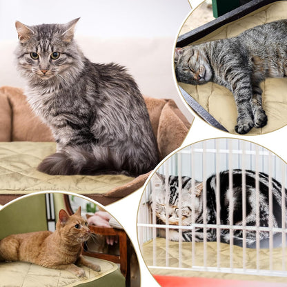 4 Pack Self Heating Cat Pad Self Warming Dog Mat Reflects Body Heat Extra Warm Thermal Pet Pad Washable Dog Cat Bed Crate Bed Mat Blanket(Beige,16 x 20 Inch)