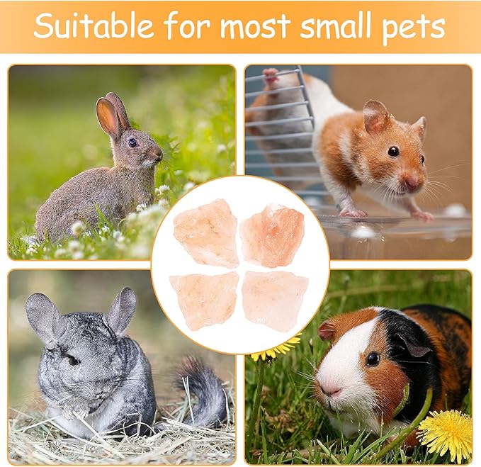 4 Pack Himalayan Small Pets Lick Salt Block on Rope- Natural Small Animal Mineral Salt Chew Toys with Rope, Small Pet Chew Treat Supplies for Guinea Pig Rabbits Bunny Ferrets