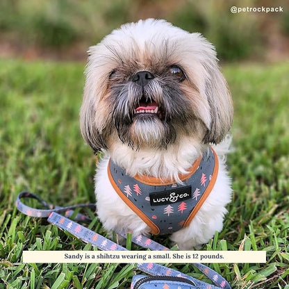 Lucy & Co. Cute Reversible Dog Harness Walking Halter - Best Designer Pet Harnesses for XS - XL Dogs - Padded Adjustable Vest for Easy Walking (X-Small, Neutral Brown Plaid with Blue Trees)