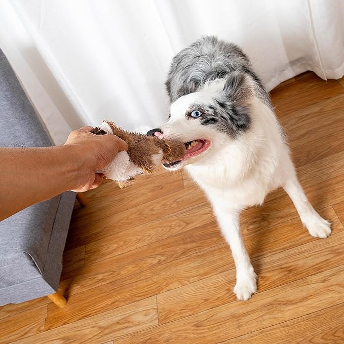 Hollypet Squeaky Dog Toy, Interactive Plush Hide and Seek Dog Toys for Small Medium Sized Dogs and Non-Aggressive Chewers, Puppy Teeth Clean Chew Toys, Pine Cone