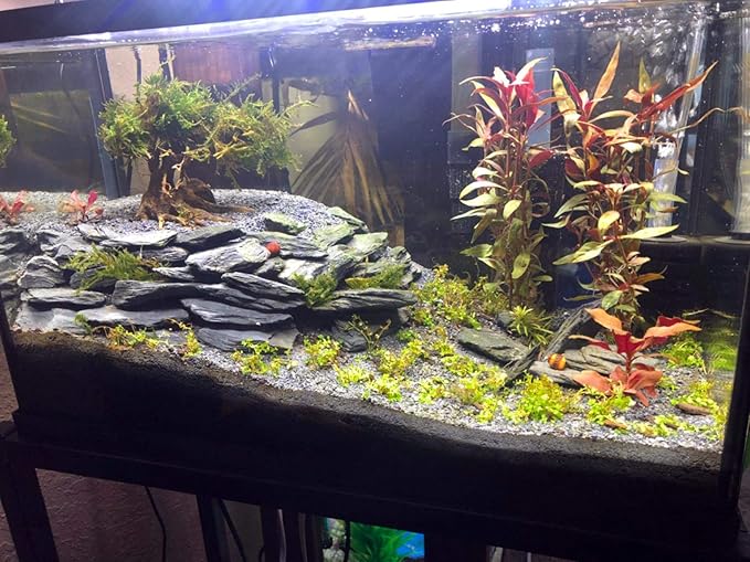 Voulosimi Natural Slate Rocks PH Neutral Stone Perfect Rocks for Aquariums, Landscaping Model,Tank Decoration,Amphibian Enclosures (3.5 LB, 1-3 inch)