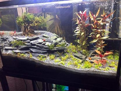 Voulosimi Natural Slate Rocks PH Neutral Stone Perfect Rocks for Aquariums, Landscaping Model,Tank Decoration,Amphibian Enclosures (3.5 LB, 3-5 inch)