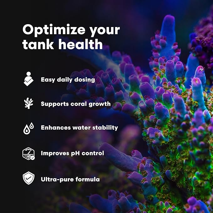 Brightwell Aquatics pH+ Alkalinity and pH Booster for Marine & Reef Aquariums Increases pH and KH Stability for Coral Growth and Enhances Carbonate Levels, 20L