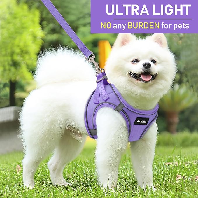 GAMUDA Small Pet Harness Collar and Leash Set, Step in No Chock No Pull Linen Fabric Soft Mesh Dog Vest Harnesses Reflective for Dogs Puppy Cats Kitten Rabbit (Purple, XS)
