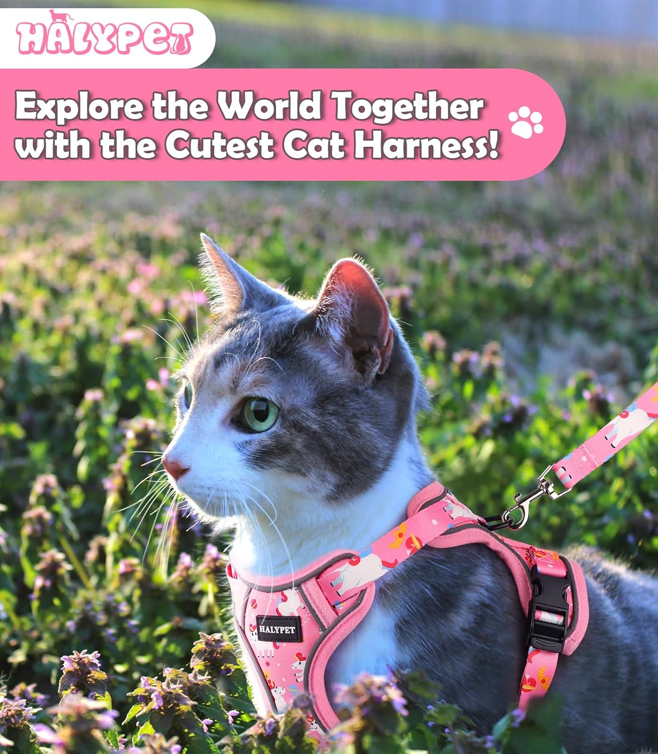Halypet Cat Harness and Leash Set[MAX Safety 4th-Gen] Cute Escape Proof Vest Harness for Girl&Boy Cat Walking, Comfortable Adjustable Leash and Reflective Strips for Outdoor Kitten, XS Pink Unicorn