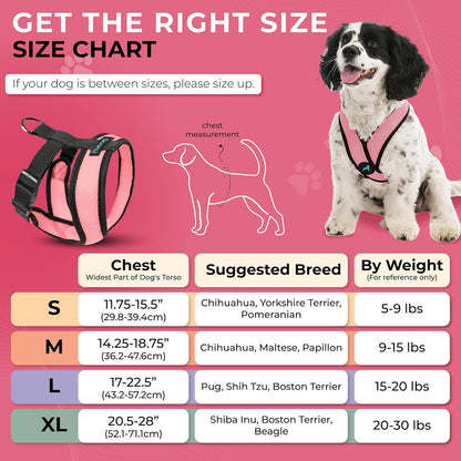 Gooby Comfort X Head-in Harness – Small Dog Harness for Toy Breeds (5–9 lbs), Pink, Small