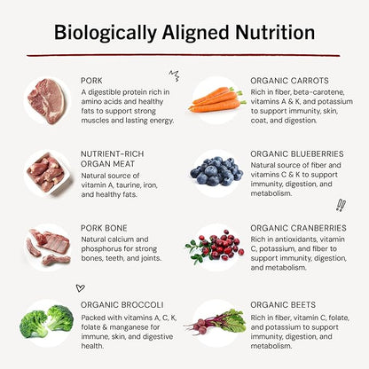Stella & Chewy's Freeze-Dried Raw Dinner Patties - Purely Pork Recipe - High Protein Grain-Free Puppy & Dog Food - Perfect For Picky Eaters - 14 oz