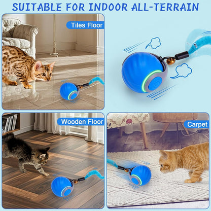 Interactive Cat Toy Ball - Motion-Activated, USB Rechargeable Cat Toys for Indoor Cats with Anti-Scratch Cover & 2 Changeable Tails - Enrichment Toy for Active Cats & Kittens