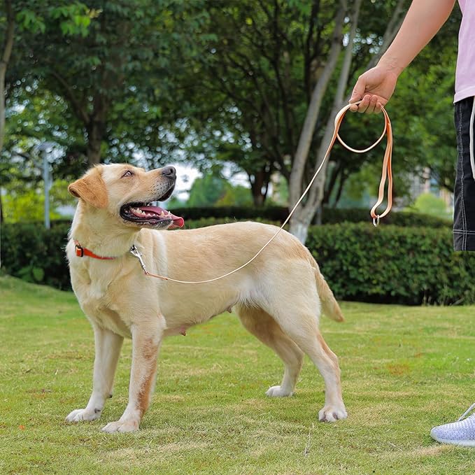 Waterproof Dog Leash, 5/6 FT Durable Odor-Proof Dog Leashes with Strong Metal Hooks Fits Small Medium or Large Dogs (Orange, 6FT - 1 inch Width)