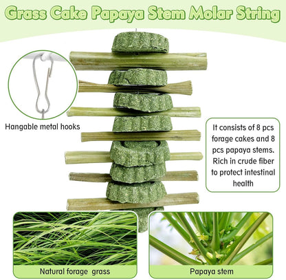Hamiledyi 4PCS Bunny Chew Toys Rabbit Toys for Teeth Grinding Natural Fruit Sticks Timothy Grass Small Animal Chew Toys and Treats for Guinea Pig Hamster Chinchilla Squirrel
