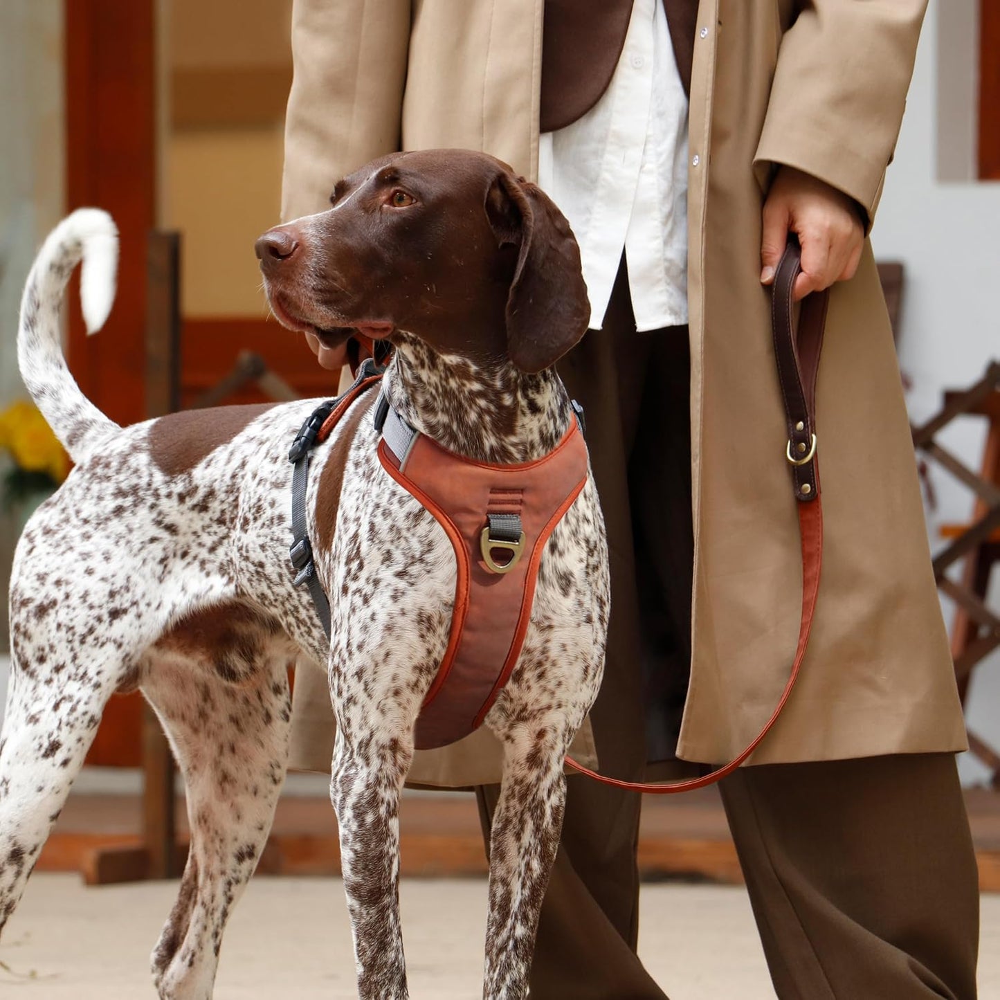 No Pull Dog Harness Medium Sized Dog,Stylish PU Leather Vest with Easy Control Handle,No Choke Front Clip with 2 Metal Leash Clips,Reflective & Adjustable for Walking,Brown,Chest 27-33"