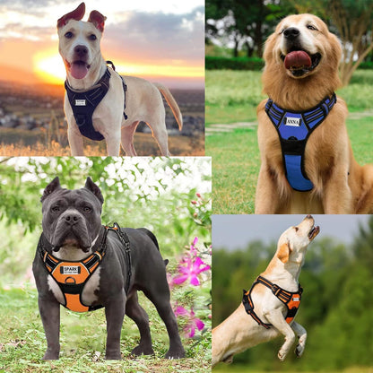 Personalized Custom No Pull Dog Harness Leash Set with Name Phone Number-Heavy Duty Reflective Soft Padded Dog Vest Harness with Easy Control Handle for Small Medium Large Dog-2 Leash Attachments