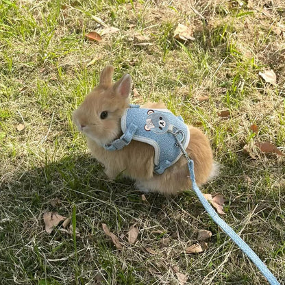 2-Pack Rabbit Harness and Leash Set – Adjustable Small Animal Vest Harness with Safety Buckle – Breathable & Lightweight – Ideal for Rabbits, Ferrets, Guinea Pigs, and Cats (Blue)