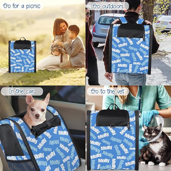 Cat Backpack Carrier-Customizable, Breathable Pet Carrier Backpack for Outdoor Travel/Vet Visits/Daily Use, Adjustable & Secure Design for Small Dogs and Cats Style2