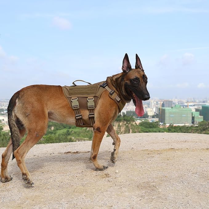 ICEFANG Tactical Mesh Dog Harness for Large Dogs,Reflective Dog Molle Vest with Metal Buckles,Hook and Loop Panels,No Pulling Front Clip for Walking Hiking Training (Large (Pack of 1), Brown)