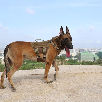 ICEFANG Tactical Mesh Dog Harness for Large Dogs,Reflective Dog Molle Vest with Metal Buckles,Hook and Loop Panels,No Pulling Front Clip for Walking Hiking Training (Large (Pack of 1), Brown)