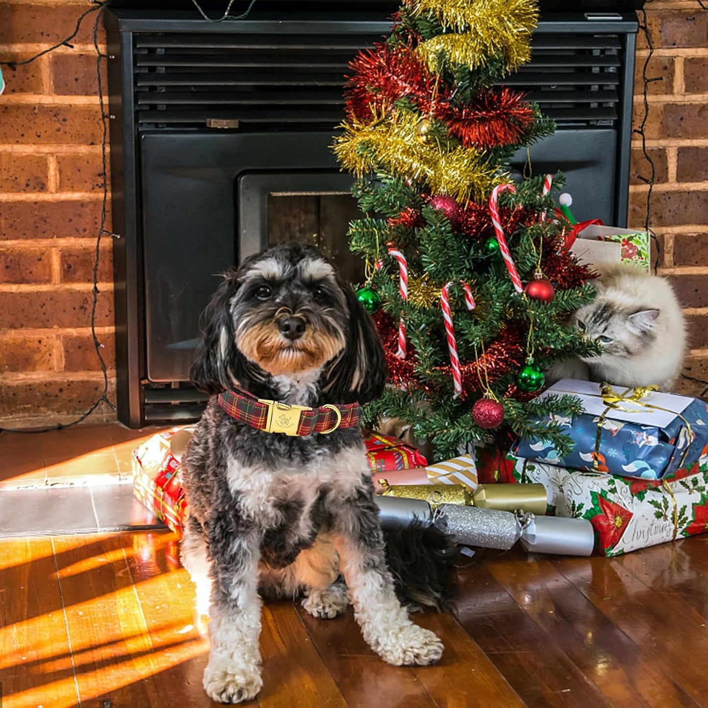 Elegant little tail Dog Collar, Christmas Red Plaid Pet Collar Cute Dog Collars Male or Female Pet Gift Adjustable Dog Collar for Small Dogs