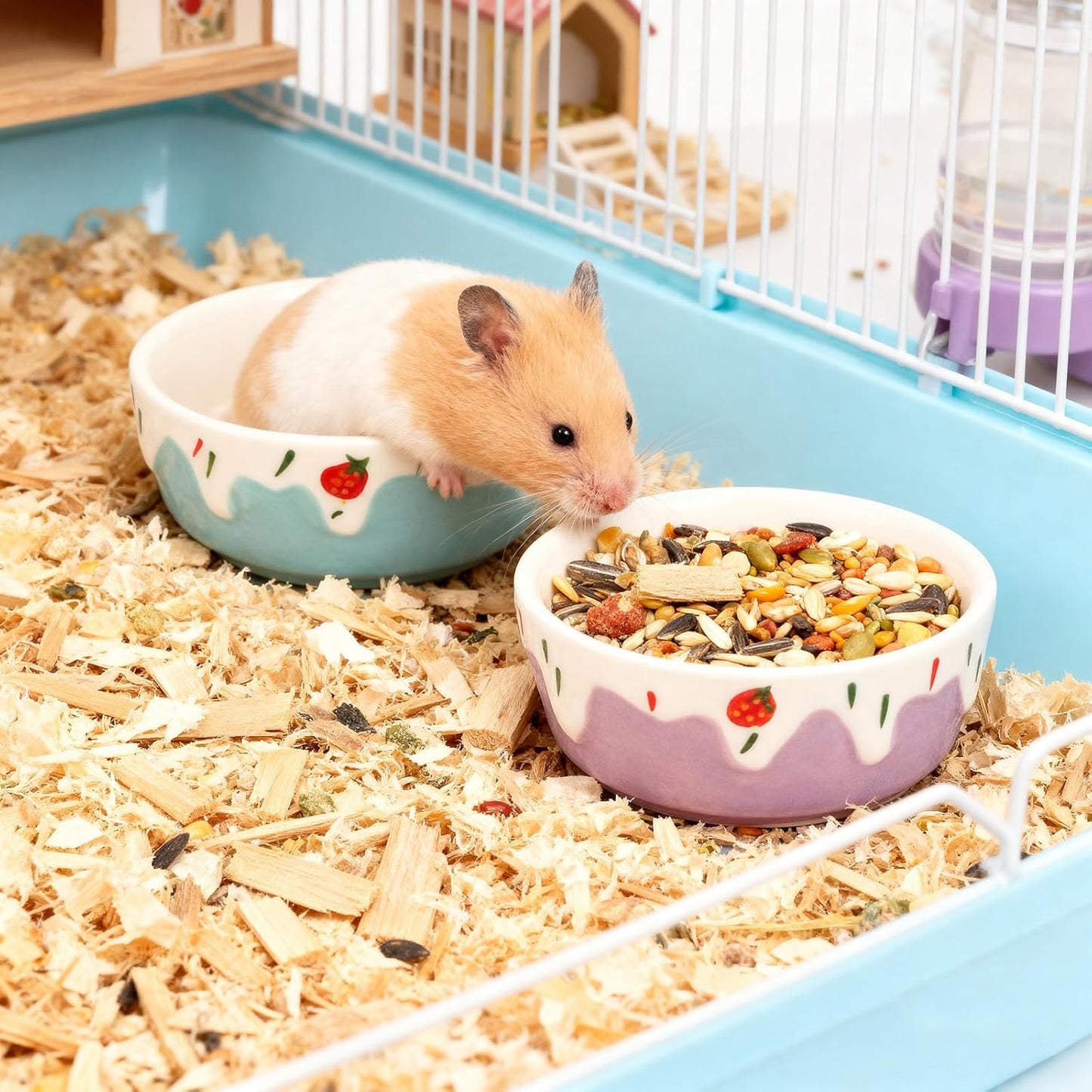 Wontee Hamster Food Bowl 2 Pack Ceramic Food Water Bowl Anti-Tipping for Dwarf Hamsters Gerbil Mice Hedgehog Guinea Pig (Blue+Purple)