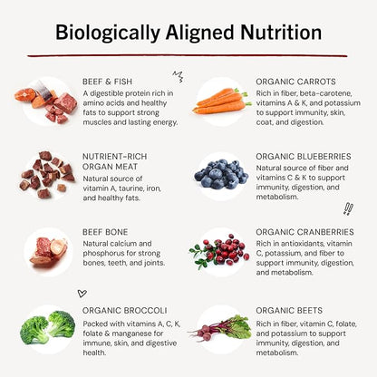 Stella & Chewy's Freeze-Dried Raw Dinner Patties - Surf 'N Turf Salmon & Beef Recipe - High Protein Grain-Free Puppy & Dog Food - Perfect For Picky Eaters - 14 oz