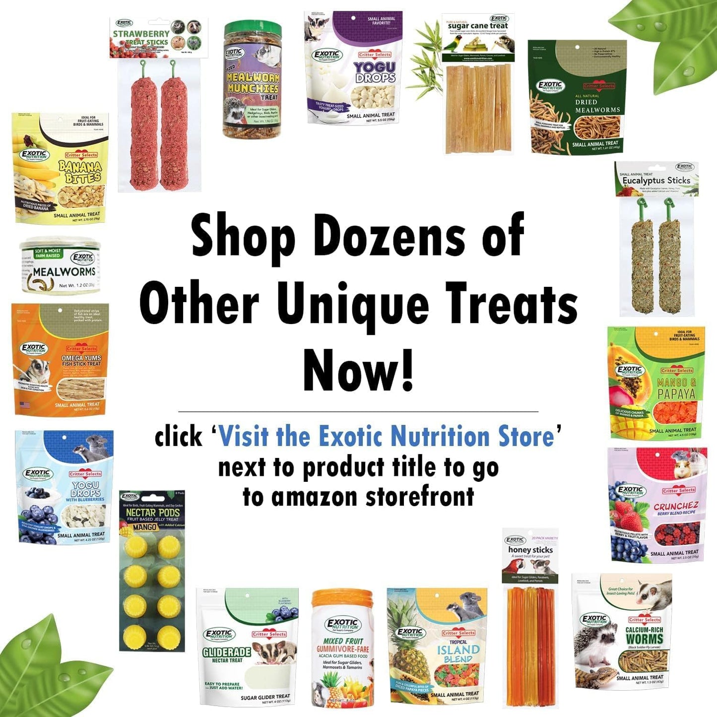 Exotic Nutrition Beneficial Blocks (20 oz.) - Healthy & Unique Supplemental Food with Nuts & Seeds for Squirrels