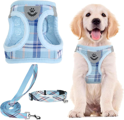 PUPTECK Adjustable Dog Harness Collar and Leash Set Step in No Pull Pet Harness for Small Medium Dogs Puppy and Cats Outdoor Walking Running, Soft Mesh Padded Reflective Vest Harnesses, Blue XXS