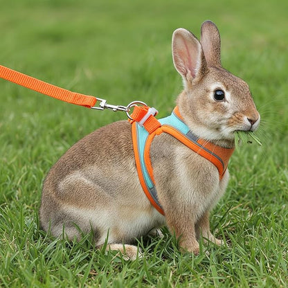 Bunny Harness and Leash Set, Adjustable Double Buckles Breathable Mesh Rabbit Vest with Reflective Strips, Escape Proof Small Pet Walking Training Gear for Rabbits, Kittens, Ferrets, Guinea Pigs (S)
