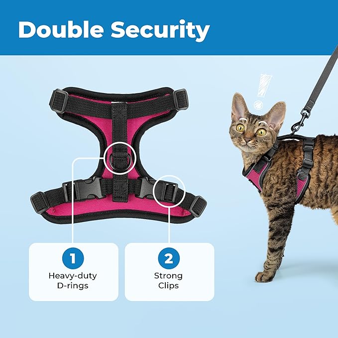 Voyager Escape Proof Cat Harness and Leash Set with Reflective Stitching, Neoprene Handle 5ft - Supports Small, Medium and Large Cats, Kittens for Walking by Best Pet Supplies - BT-Fuchsia, XXS