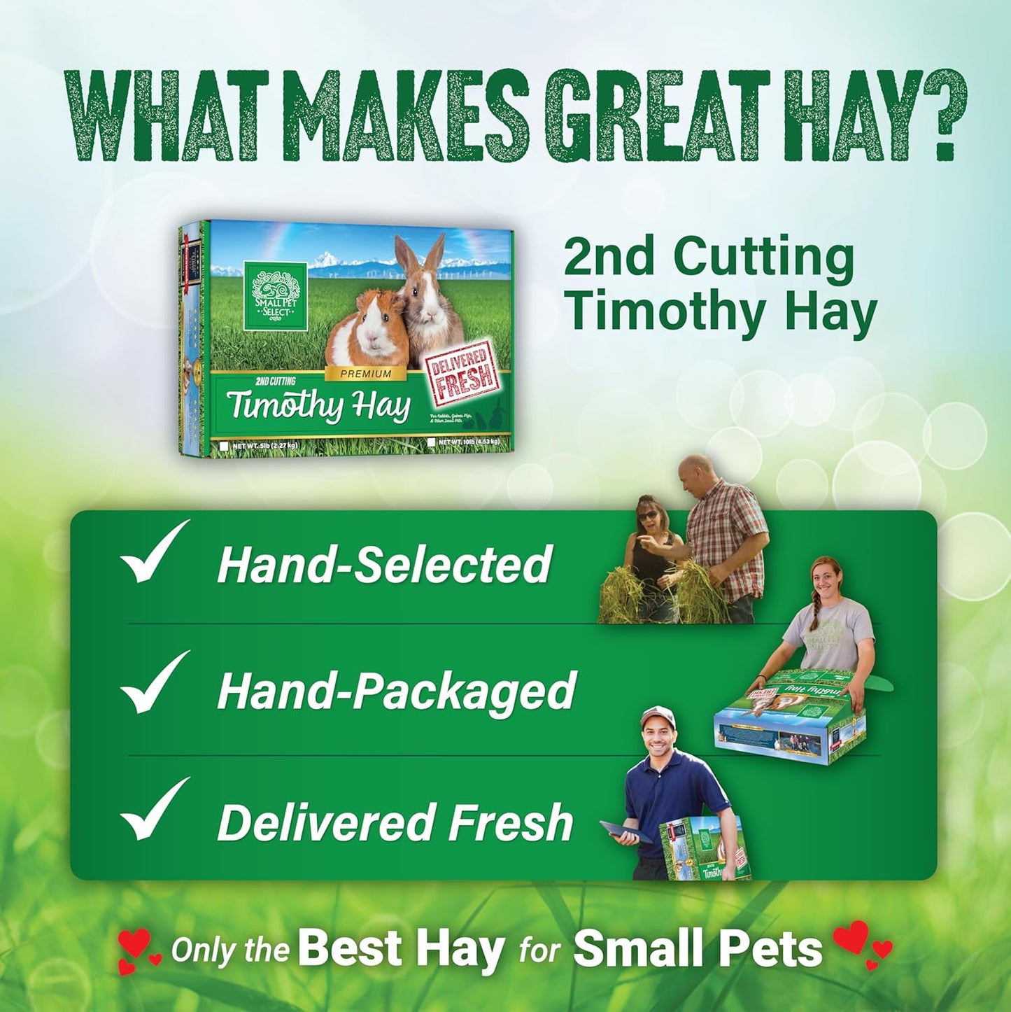 Small Pet Select 2nd Cutting Perfect Blend Timothy Hay Pet Food for Rabbits, Guinea Pigs, Chinchillas and Other Small Animals, Premium Natural Hay Grown in The US, 20 LB
