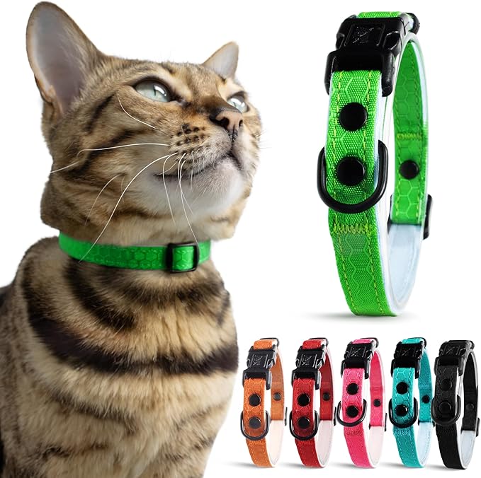 OutdoorBengal Ultra-Safe Quick Release Breakaway Kitten Collar - Cat Collar for Small Kittens Under 6 Months – Soft-Padded, Lightweight, Adjustable, Thin and Comfortable, No Bell (Green, Kitten)