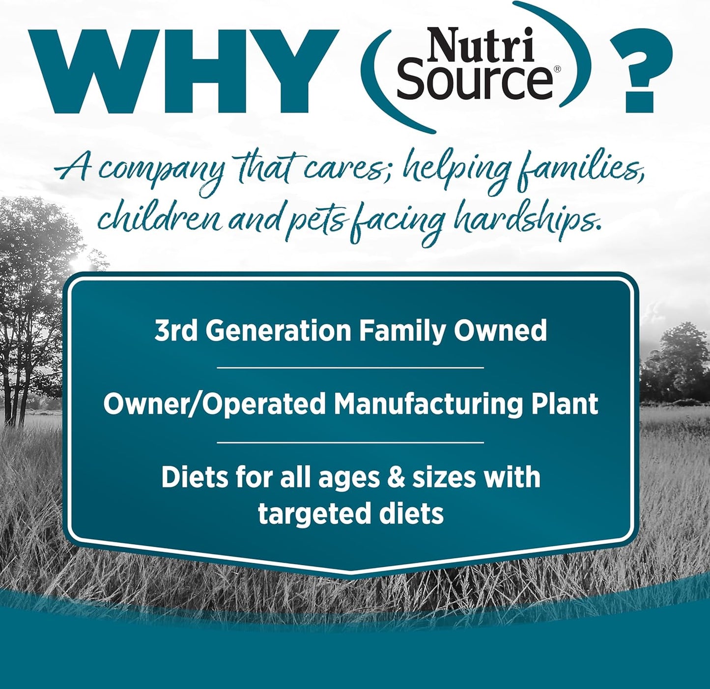 NutriSource Grain Free Chicken Recipe Dog Food, Premium Wet Dog Food, 12.3 Ounce (Pack of 12)