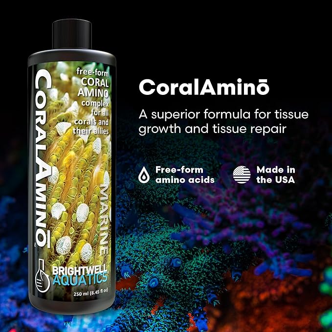 Brightwell Aquatics CoralAmino - Complex of Amino Acids for Corals - Coral Food for Aquarium Coral Growth - Saltwater Aquarium Treatments, 8.45 fl oz