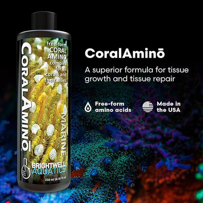 Brightwell Aquatics CoralAmino - Complex of Amino Acids for Corals - Coral Food for Aquarium Coral Growth - Saltwater Aquarium Treatments, 8.45 fl oz