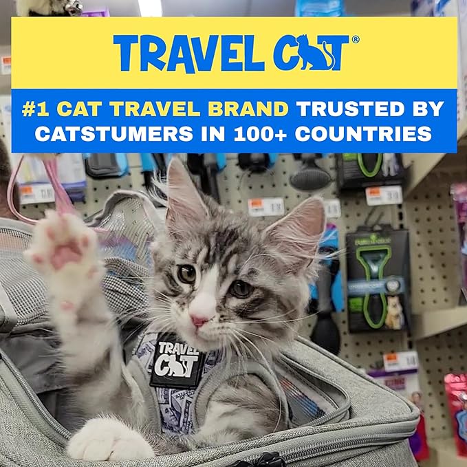 Travel Cat Harness and Leash Set - Adjustable Fit Mesh Cat Harness and Reflective Strap - Comfort Walking Vest for Kitten for Outdoor Walking, Hiking (Small, Cash)