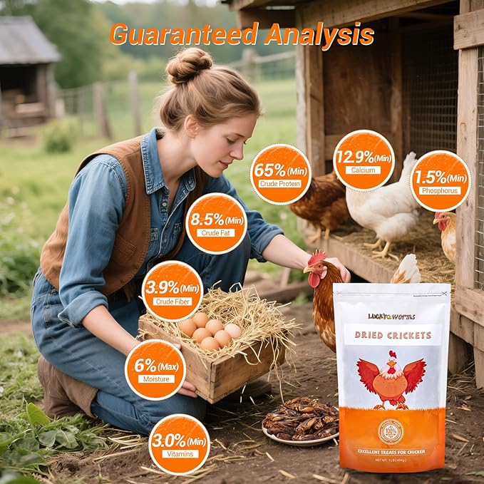 Dried Crickets 1 lb for Chickens, Wild Birds, Hedgehogs, Reptiles, Lizards, Bearded Dragons, Fish, Turtles - High Protein Natural Insect Food Resealable Bag