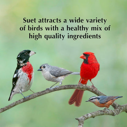 C&S Hot Pepper Suet Nuggets 27 Ounces