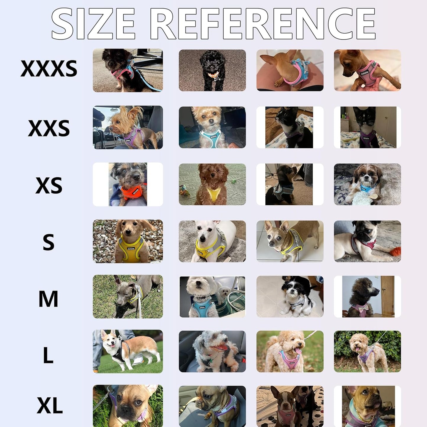 AIITLE Step in Dog Harness and Leash Set - Summer No Pull Escape Proof Vest Harnesses with Soft Mesh and Reflective Bands, Adjustable Pet Outdoor Harnesses for Small and Medium Dogs Black M