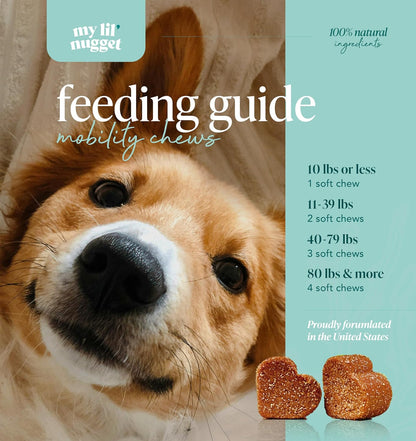 My Lil’ Nugget – Vet-Approved Natural Hip and Joint Support for Dogs | Glucosamine, Chondroitin & Hemp | Mobility & Dog Arthritis Pain Relief | All-Ages – Senior Dog to Puppy | 90 Bacon Flavor Chews