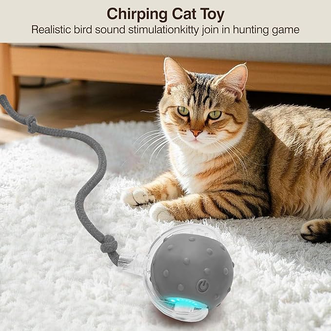 Electric Interactive Cat Toy Ball - Automatic Rolling Silicone Cat Toys for Indoor Cats, Durable Chew-Proof Motorized Kitty Ball with LED Light, Fun Exercise Toys for Bored Kittens（Grey）