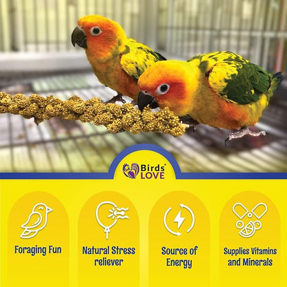 Birds LOVE Economy Special Spray Millet GMO-Free (No Stems Only Edible Tops) for Birds Cockatiel Lovebird Parakeet Finch Canary All Parrots Healthy Treat - 7oz