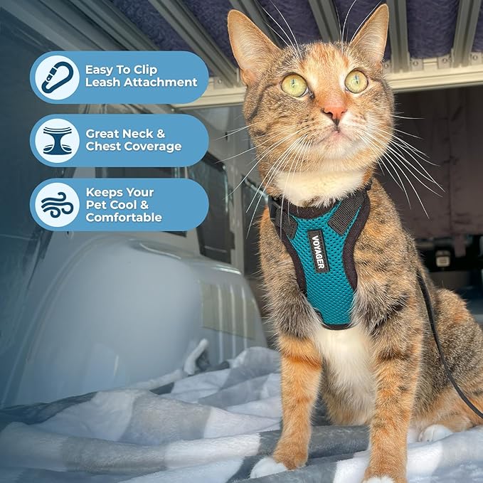 Voyager Step-in Lock Adjustable Cat Harness w. Cat Leash Combo Set with Neoprene Handle 5ft - Supports Small, Medium and Large Breed Cats by Best Pet Supplies - Turquoise/Black Trim, XS