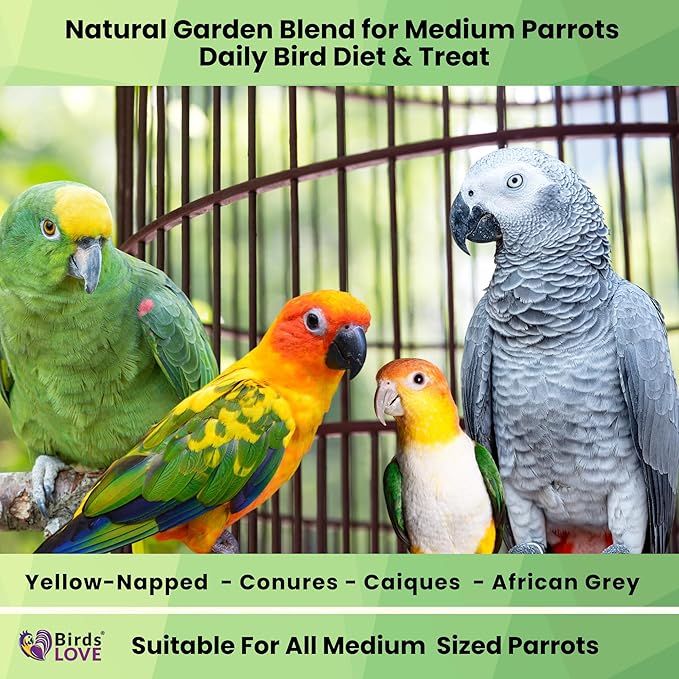 Birds LOVE All Natural Garden Blend Bird Food for Conures - Sunflower Free 2lb