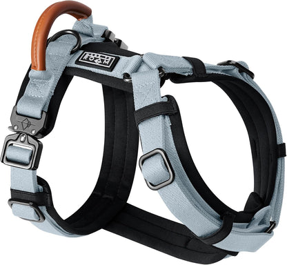 MADE TO ROAM Premium Explorer Harness - Y-Shaped Dog Harness with Adjustable Durable Nylon, Soft Padding, Metal Buckles and Leather Handle for Small, Medium, Large Dogs (Alaska Daybreak, Size 7)