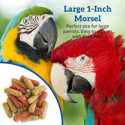 Scenic Mix Jungle Premium Parrot Food - Apple, Natural Flavors, High Protein, Low Iron Bird Pellets for Large Parrots, Macaw Food, Cockatoo & African Grey Parrots, Omega 3, Vitamins, Minerals, 1 LB