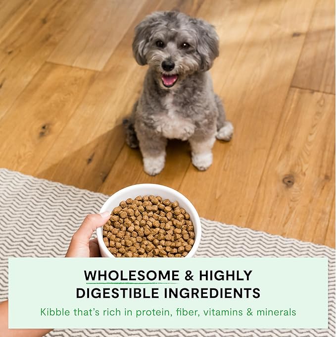 Open Farm, Ancient Grains Dry Dog Food For Small Breeds, Protein-Rich & Nutrient Dense, 90% Animal Protein With Non-GMO Fruits, Veggies and Superfoods, Chicken & Turkey Recipe For Small Dogs, 11lb Bag