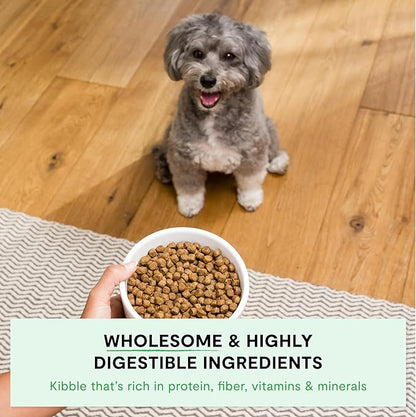 Open Farm, Ancient Grains Dry Dog Food For Small Breeds, Protein-Rich & Nutrient Dense, 90% Animal Protein With Non-GMO Fruits, Veggies and Superfoods, Chicken & Turkey Recipe For Small Dogs, 11lb Bag