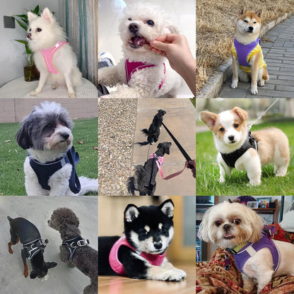 Dog Harness with Leash Set, No-Pull Step-in Reflective Pet Harness with 1 Leash Clips, Adjustable Soft Padded Easy Walk Dog Vest for Small Medium Large Dogs, Cats(Light Purple, Large)