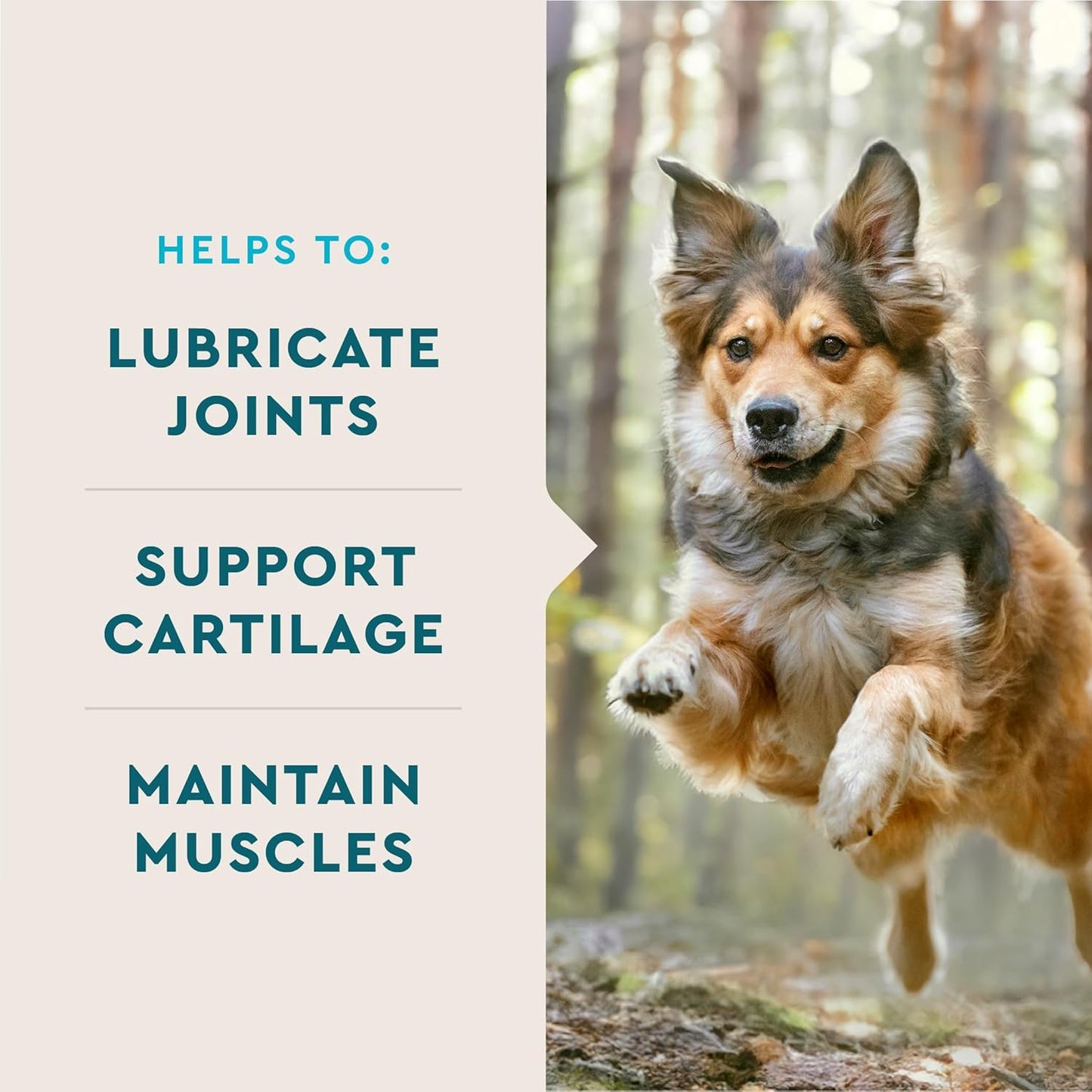 VetIQ Glucosamine Hip & Joint Supplement for Dogs, 60 Soft Chews, Joint Support Supplement with MSM and Krill, Dog Health Supplies Large & Small Breed, Chicken Flavored Chewables