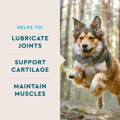 VetIQ Glucosamine Hip & Joint Supplement for Dogs, 60 Soft Chews, Joint Support Supplement with MSM and Krill, Dog Health Supplies Large & Small Breed, Chicken Flavored Chewables